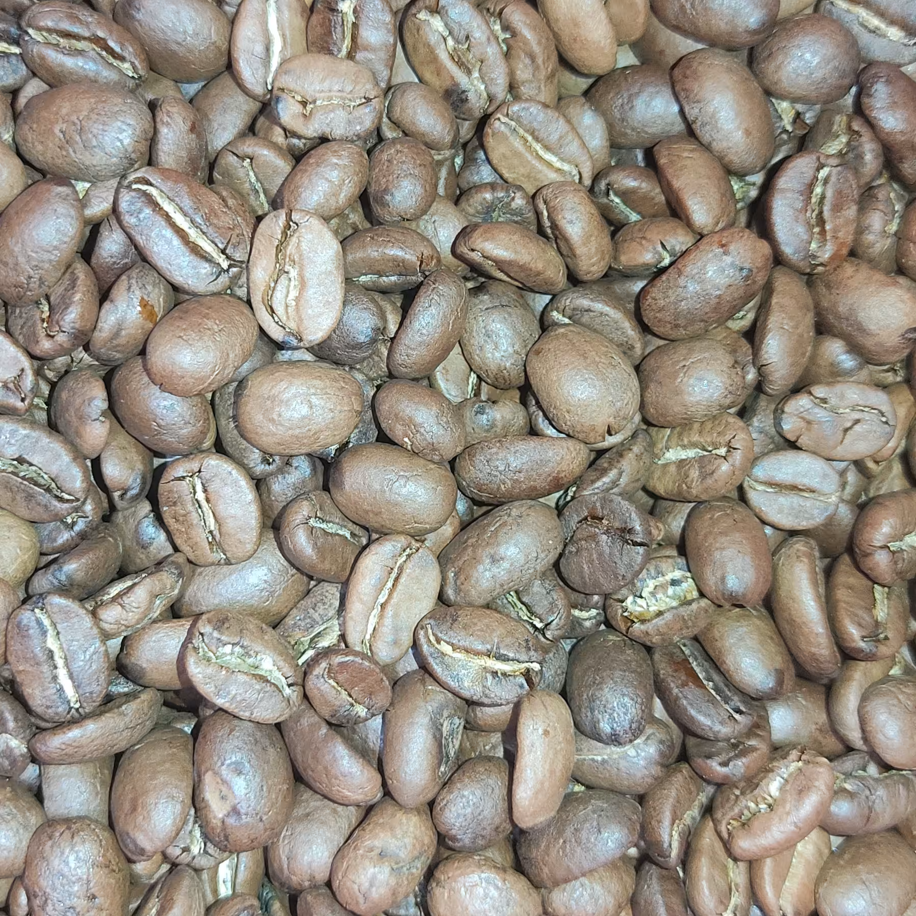 قهوه هندوراس - یک کیلویی