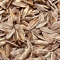 تخمه کانادایی نمکی لوکس و درجه یک