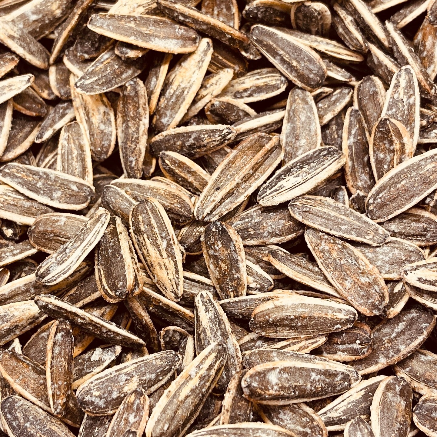 تخمه کانادایی نمکی لوکس و درجه یک
