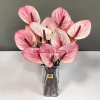 گل آنتوریوم فستو