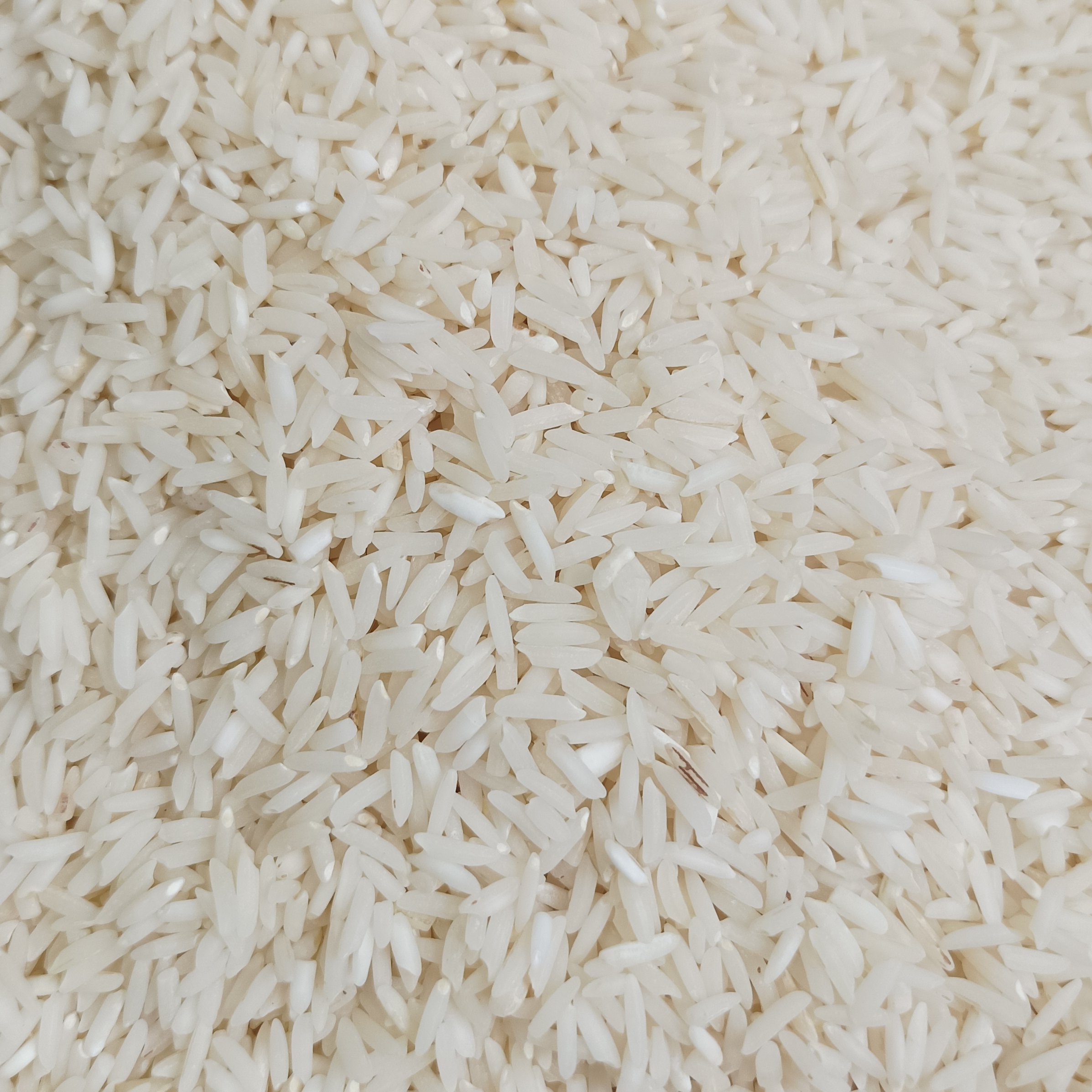 برنج هاشمی خوش پخت در بسته های 10 کیلویی