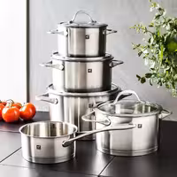 سرویس قابلمه 5 تکه زولینگ آلمان مدل Essence