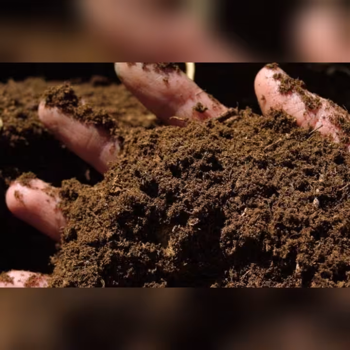 خاک پیت ماس کیفیت عالی (پس کرایه)