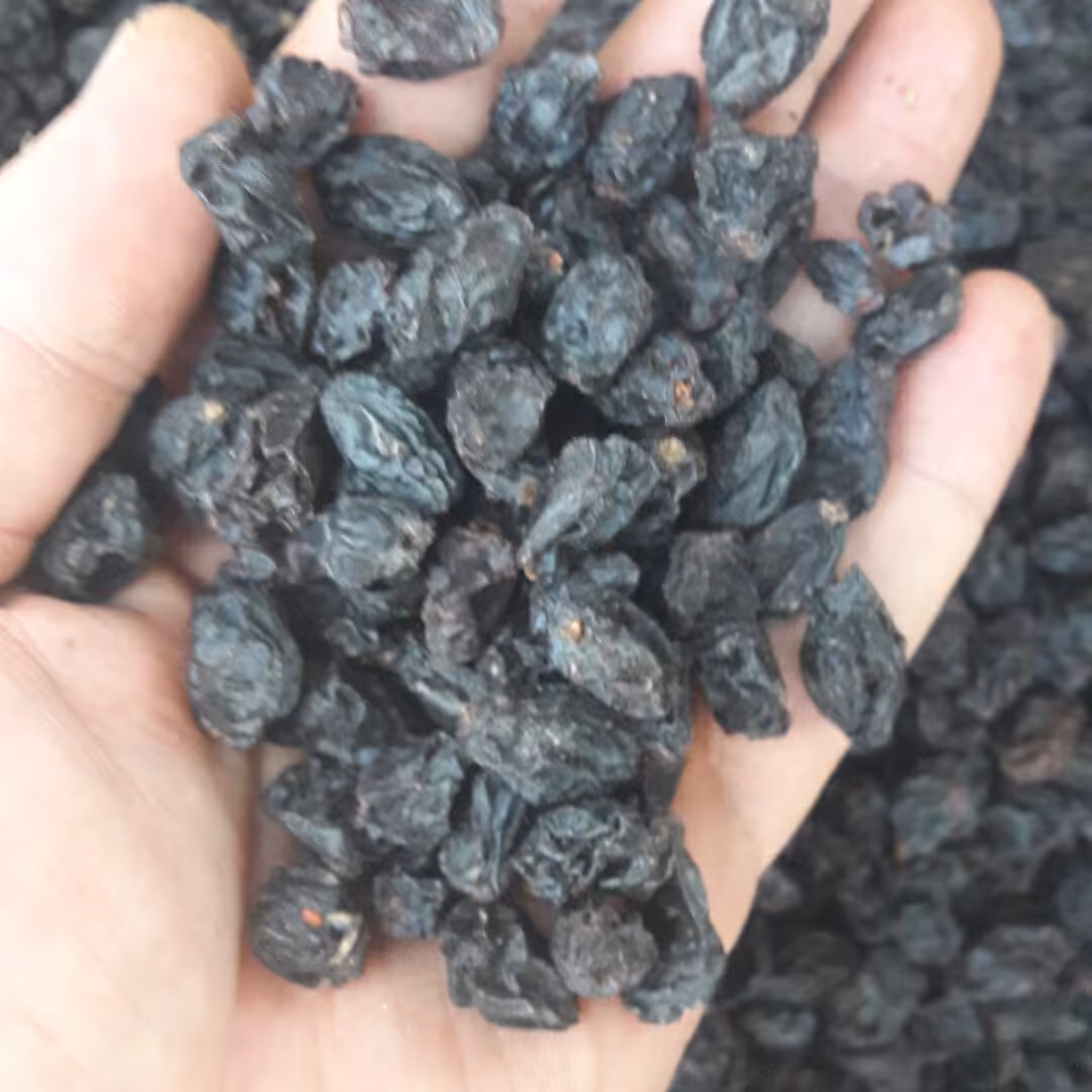 کشمش شاهانی تمیز و سورت شده گوشتی (1000گرم)