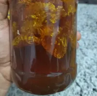 عسل وحشی جنوب