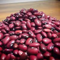 لوبیا قرمز ارگانیک 