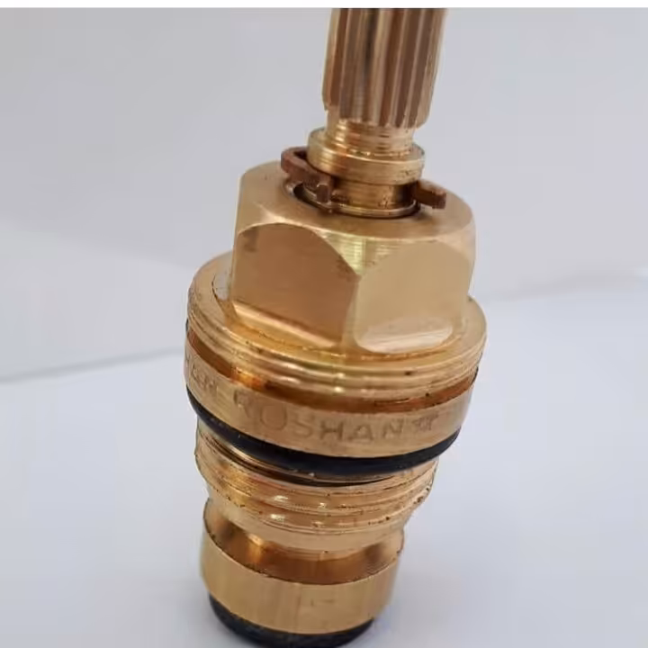 مغزی شیر مخروط