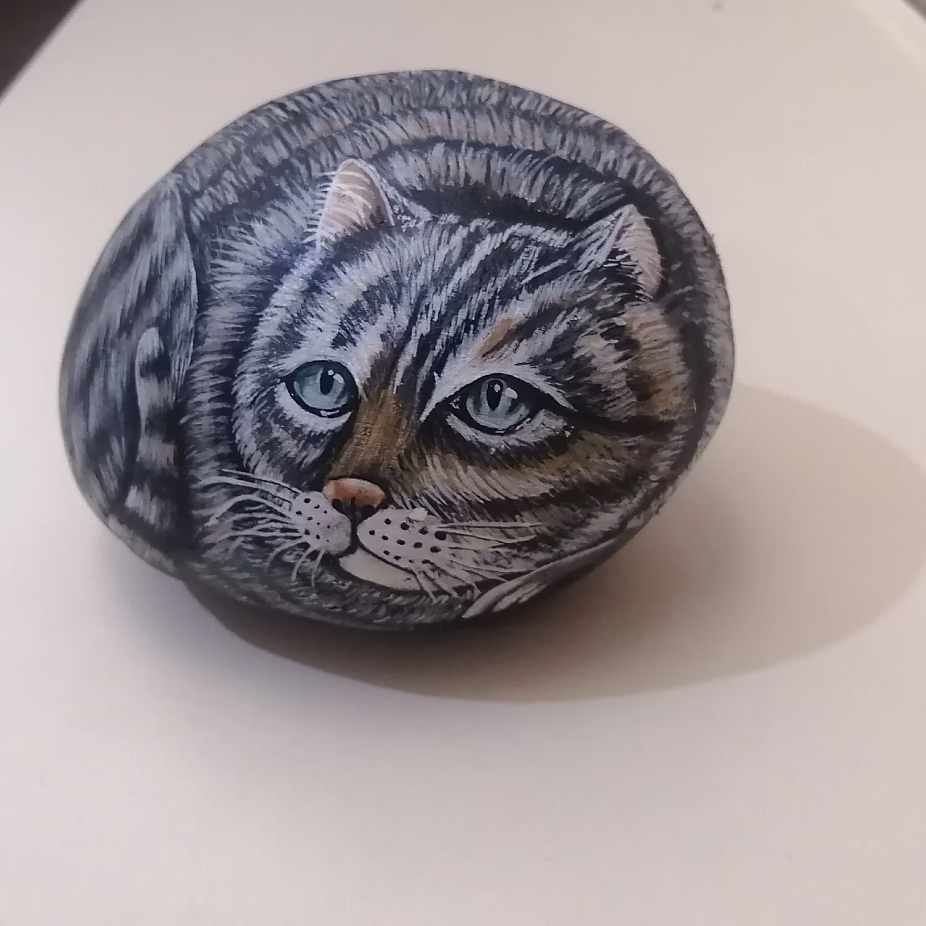 گربه ی دلبر (اثر بانو فاطمه فتاحی) زیبا و ماندگار