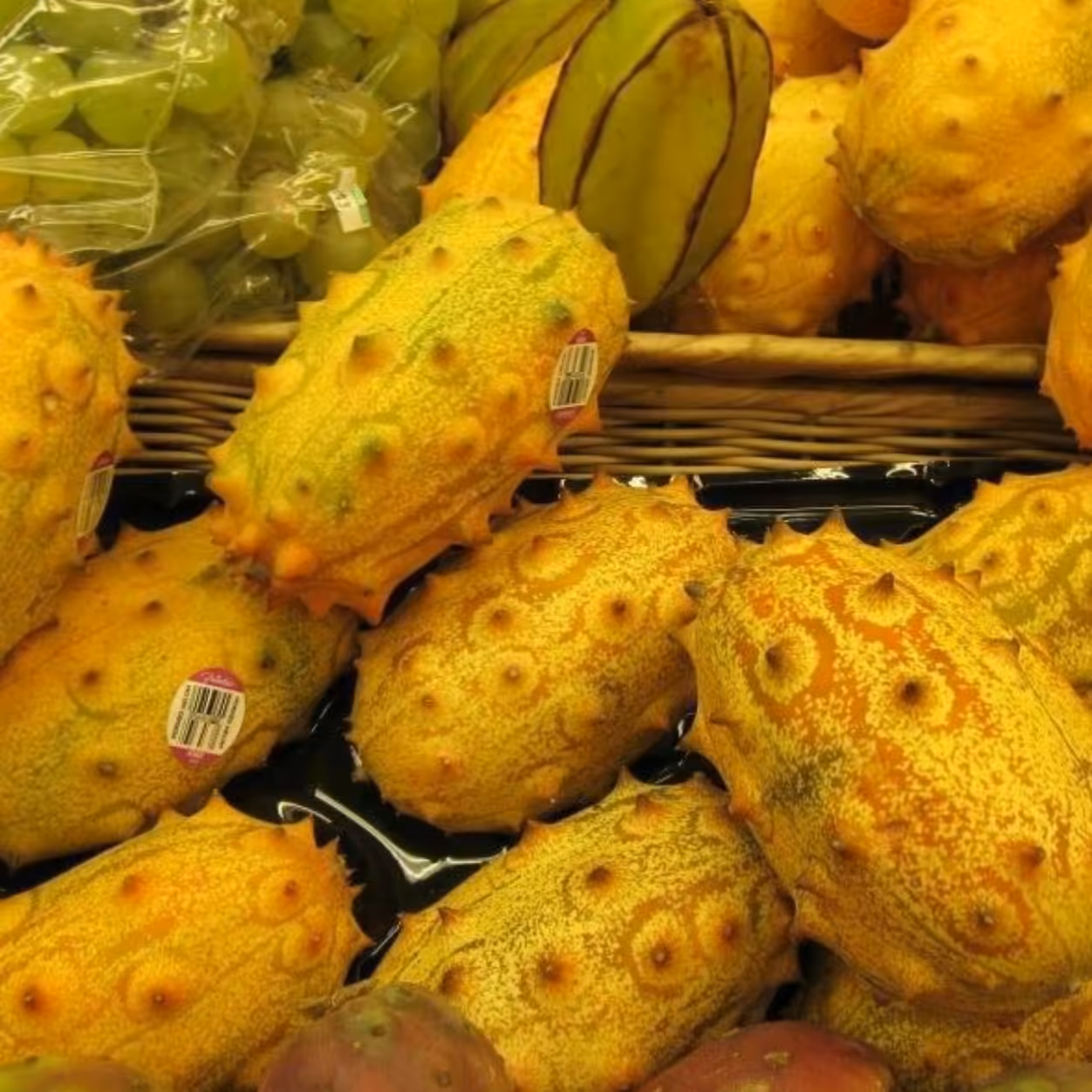 بسته 5 عددی بذر خیار آفریقایی در جه یک
