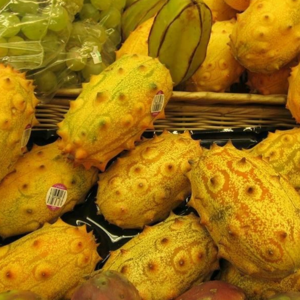 بسته 5 عددی بذر خیار آفریقایی در جه یک