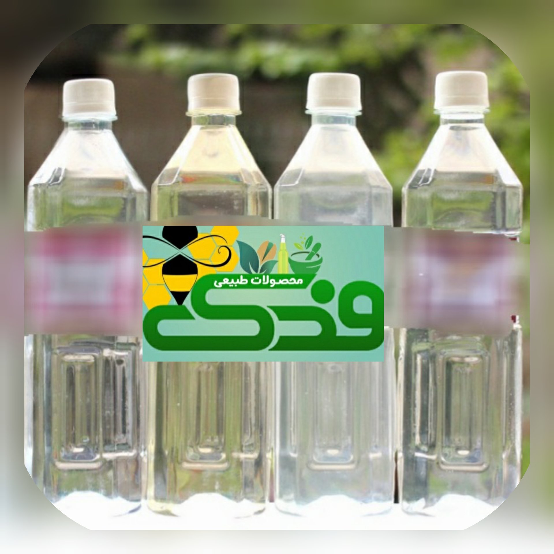 عرق شلتوک ممتاز فدک