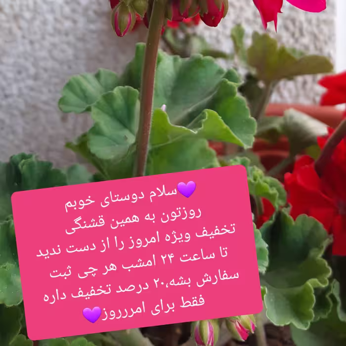سینی چوب طبیعی