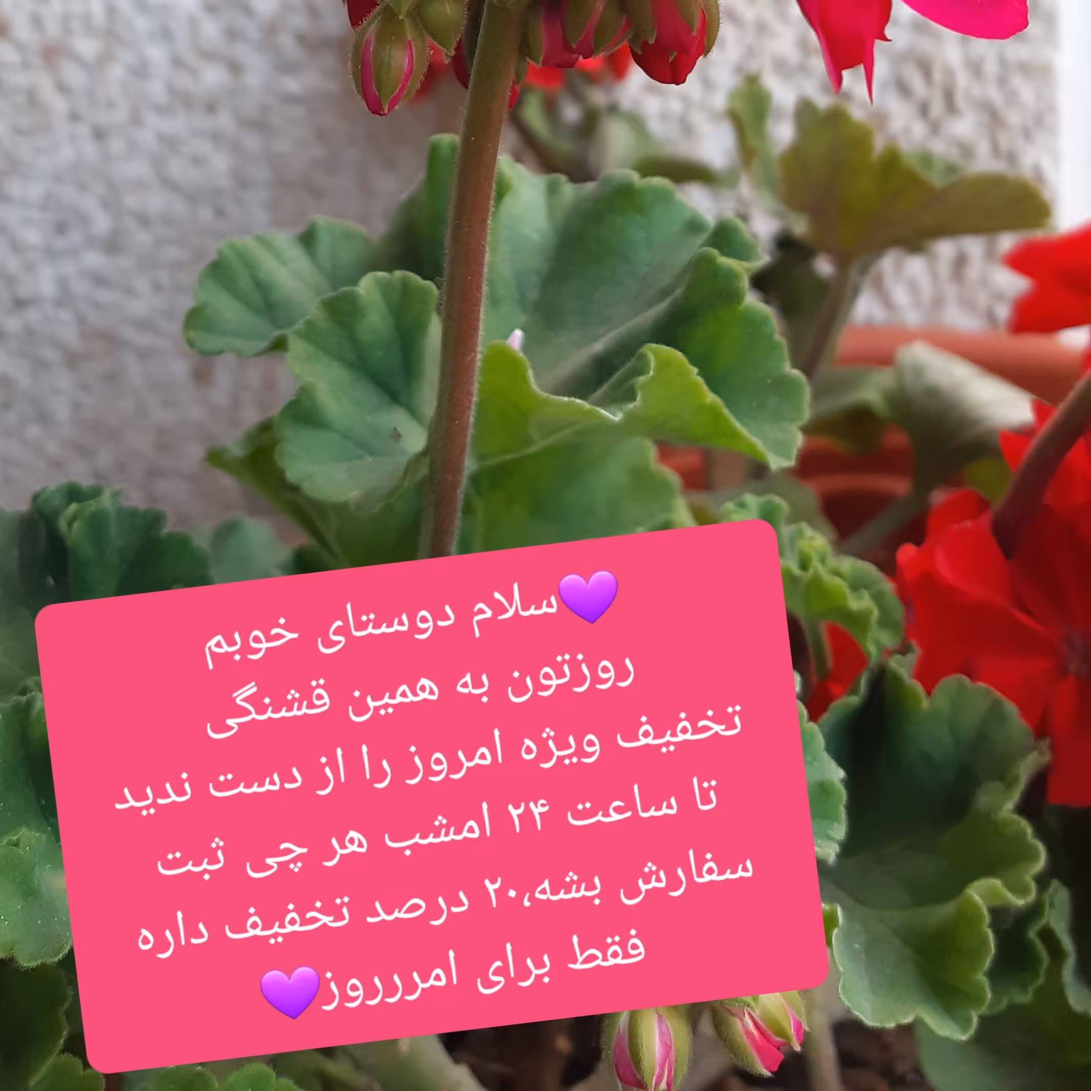 سینی چوب طبیعی