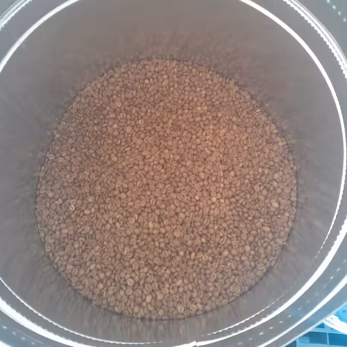 قهوه اندونزی ربوستا (جاوا) با رست مدیوم (روشن) مناسب برای ترکیبات