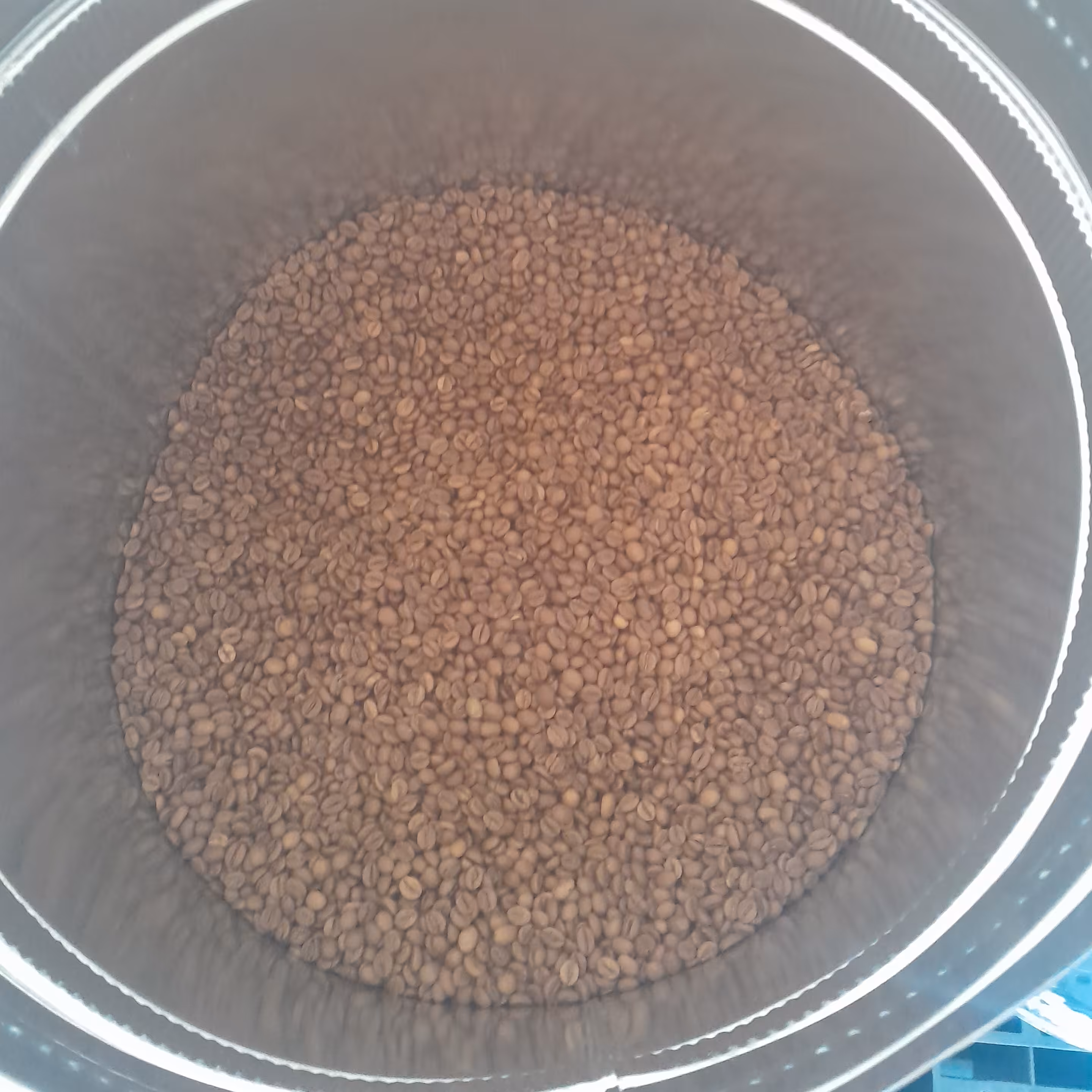 قهوه اندونزی ربوستا (جاوا) با رست مدیوم (روشن) مناسب برای ترکیبات