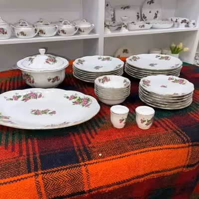 سرویس غذا خوری گل سرخ