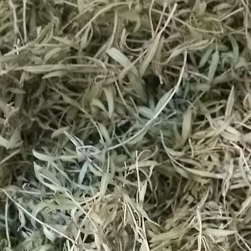 آویشن کوهی 100 گرم