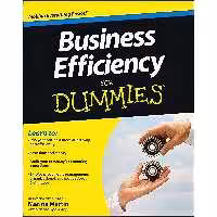 کتاب زبان اصلی Business Efficiency For Dummies اثر Marina Martin