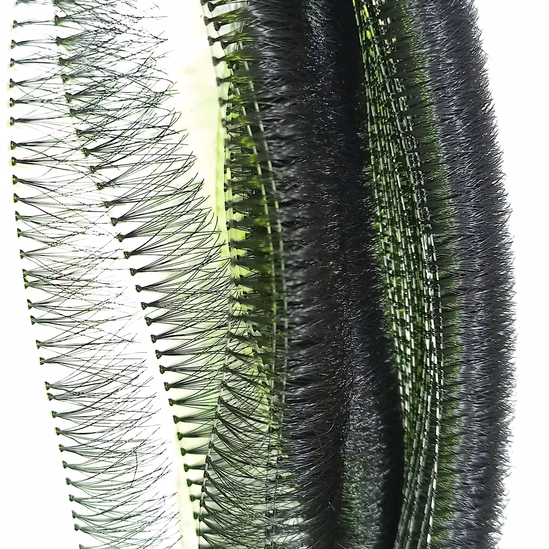 مژه ریسه ای