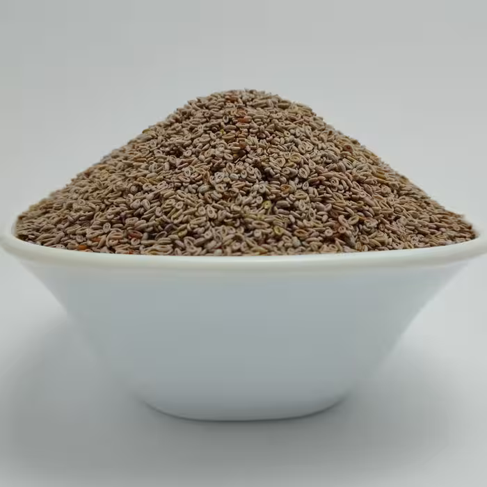 اسپرزه ( Psyllium ) ( Plantago Ovata )  40 گرم 
