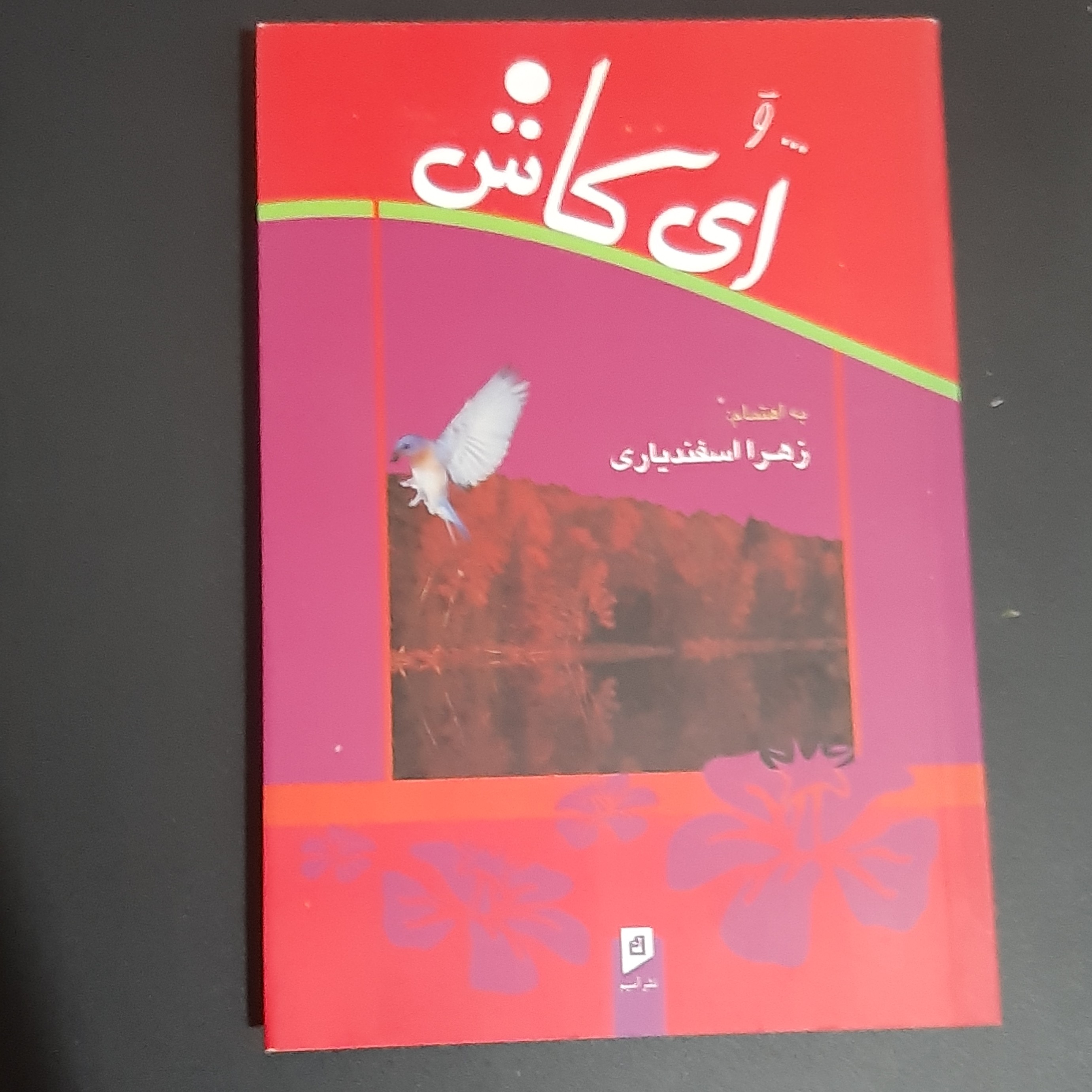 کتاب و ای کاش