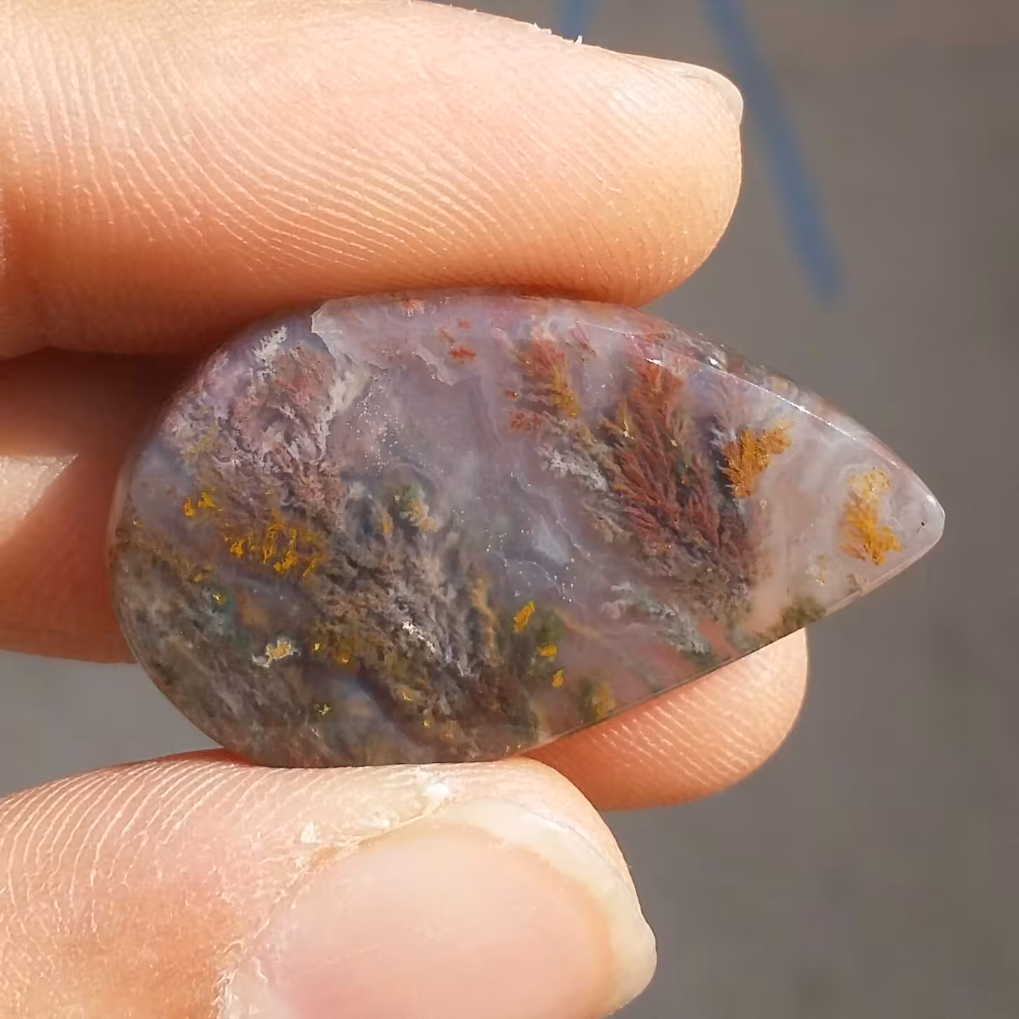 نگین شجر شکوفه هفت رنگ دو طرفه شجرهای واضح و بسیار خوش رنگ و تماشایی کد 10195