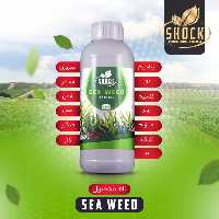 کود عصاره جلبک دریایی اصلی شوک محصول آمریکا اوریجینال