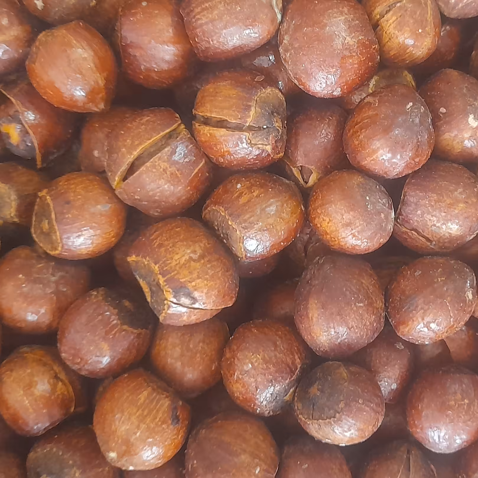 فندق بوداده اعلا 500 گرمی       