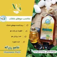 شامپوی گیاهی ارگ20 (موی خشک)پک دوعددی پرداخت مبلغ پست موقع تحویل