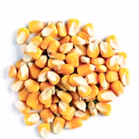 ذرت مخصوص پاپ کرن اعلاء 75 گرمی