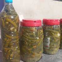 خیارشور ویژه باطعم عالی وبهداشتی(مستقیم از تولید کننده) 