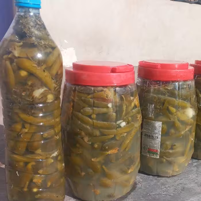 خیارشور ویژه باطعم عالی وبهداشتی(مستقیم از تولید کننده) 