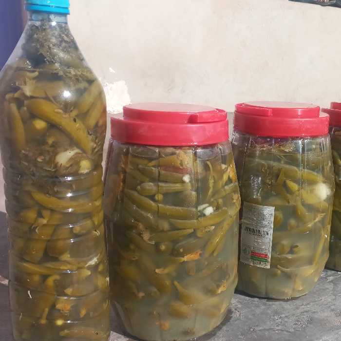 خیارشور ویژه باطعم عالی وبهداشتی(مستقیم از تولید کننده) 