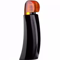 عطر ادکلن لوبین ایدول 75 میل مردانه