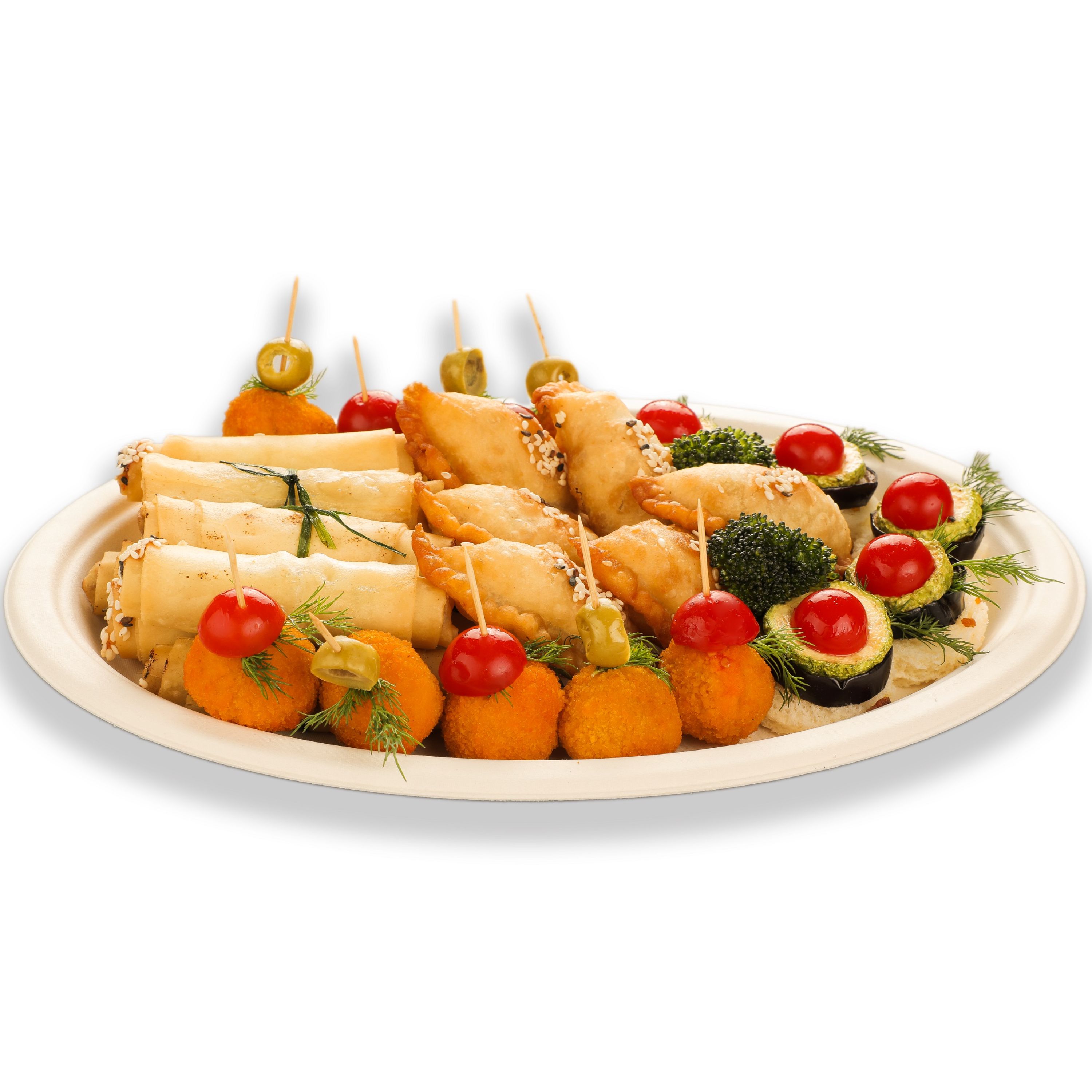 بشقاب یکبار مصرف 10 اینچ یک بسته 125 عددی