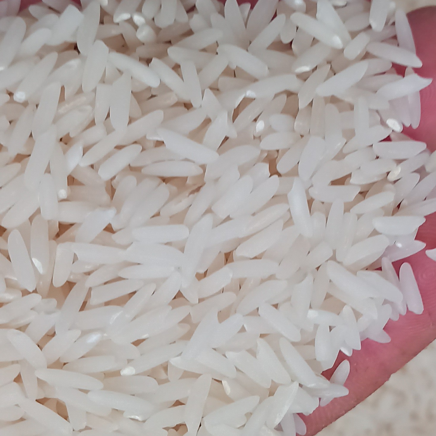 برنج درشت هاشمی درجه یک گیلان ارسال پس کرایه