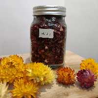 گیاه چای ترش  چای مالمیر  چای مکه