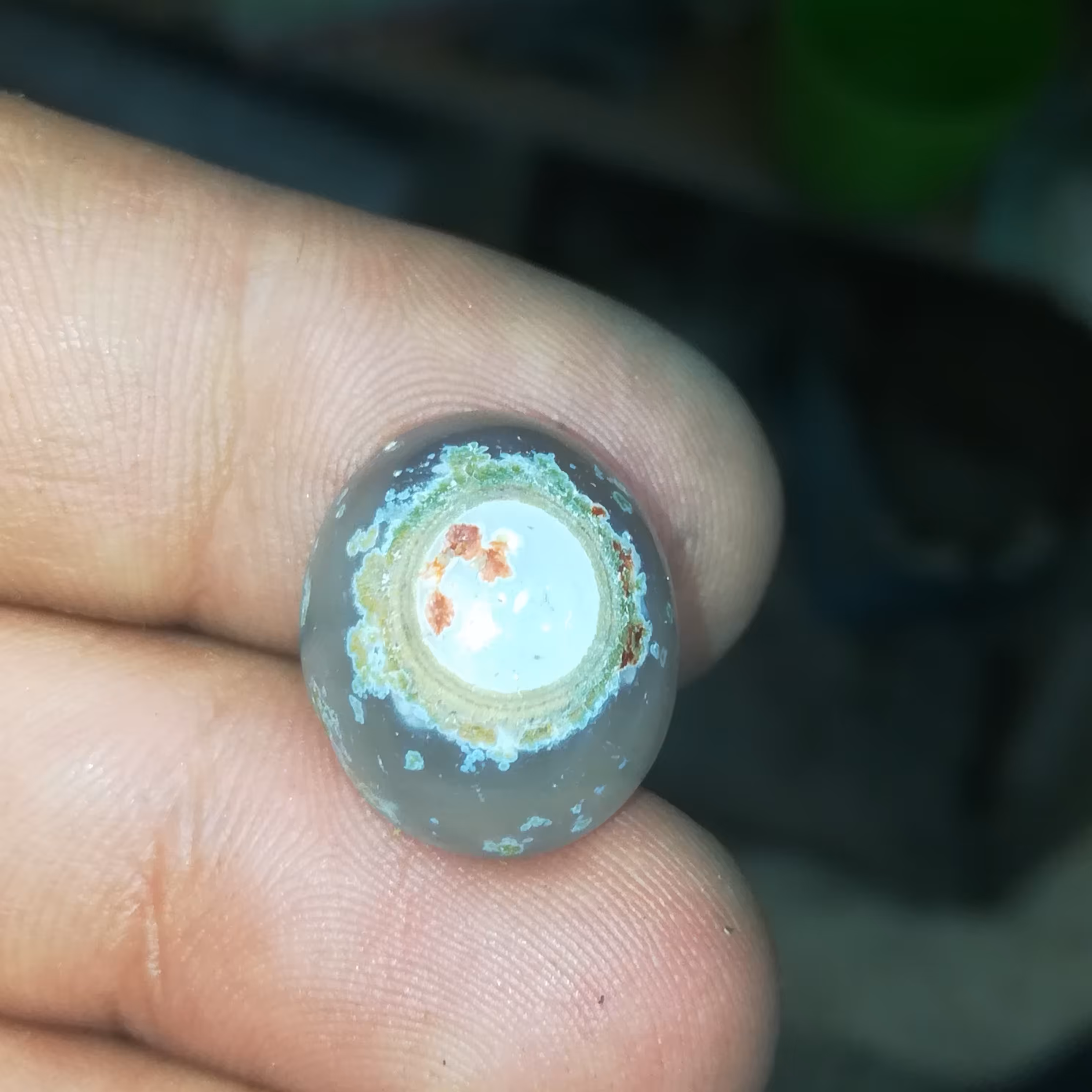 باباقوری طبیعی و خاص 