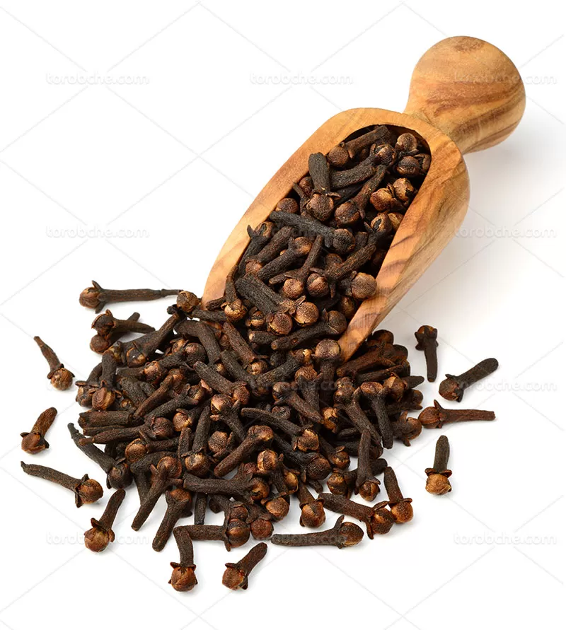 عکس با کیفیت میخک تازه | گرافیک با طعم تربچه