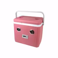 یخدان مسافرتی مدمان مدل کولاک اسپیکردار 25 لیتری