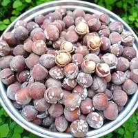 فندق برشته براق نمکی  خندان یک کیلویی