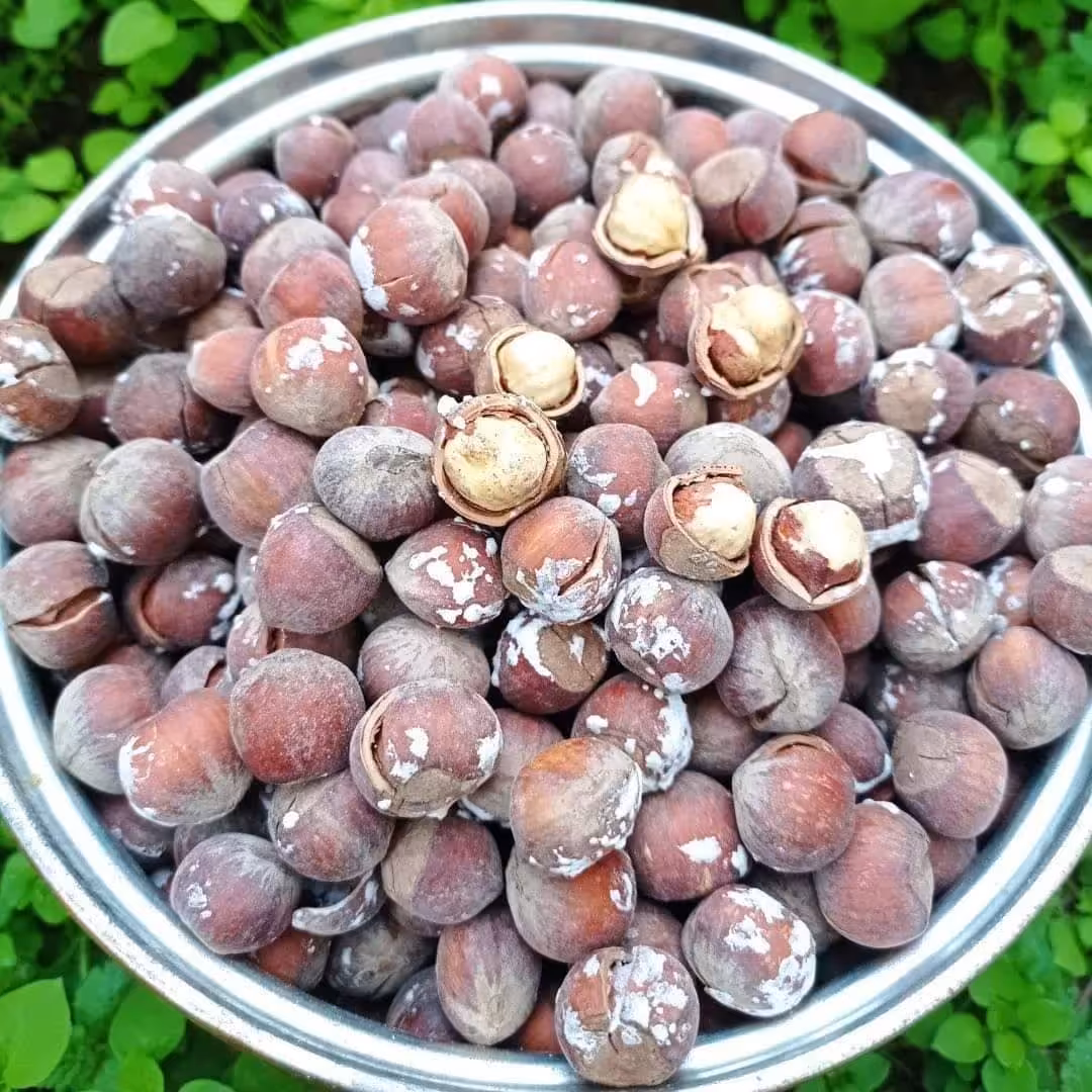 فندق برشته براق نمکی  خندان یک کیلویی