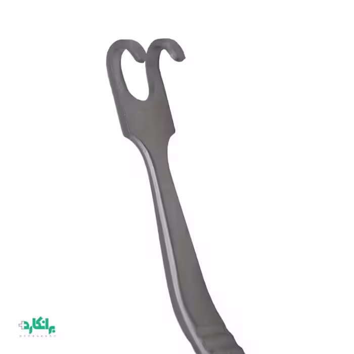 هوک آفریخت  بینی با سر کند ( بلانت )