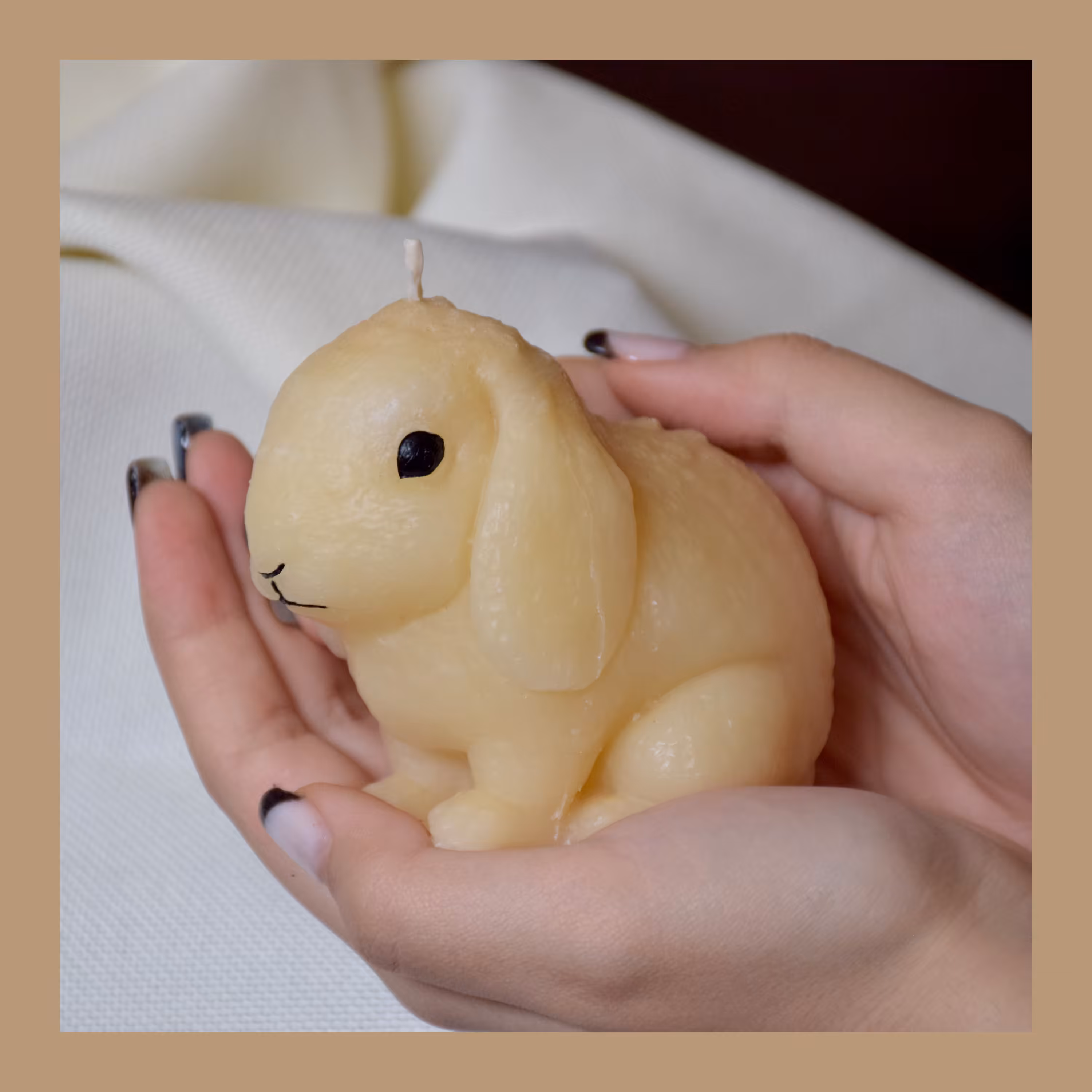 شمع خرگوش لوپ