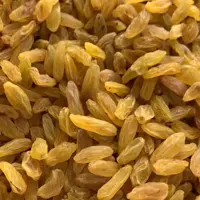 کشمش زرد طلایی پیکامی 1 کیلویی آقای زعفران