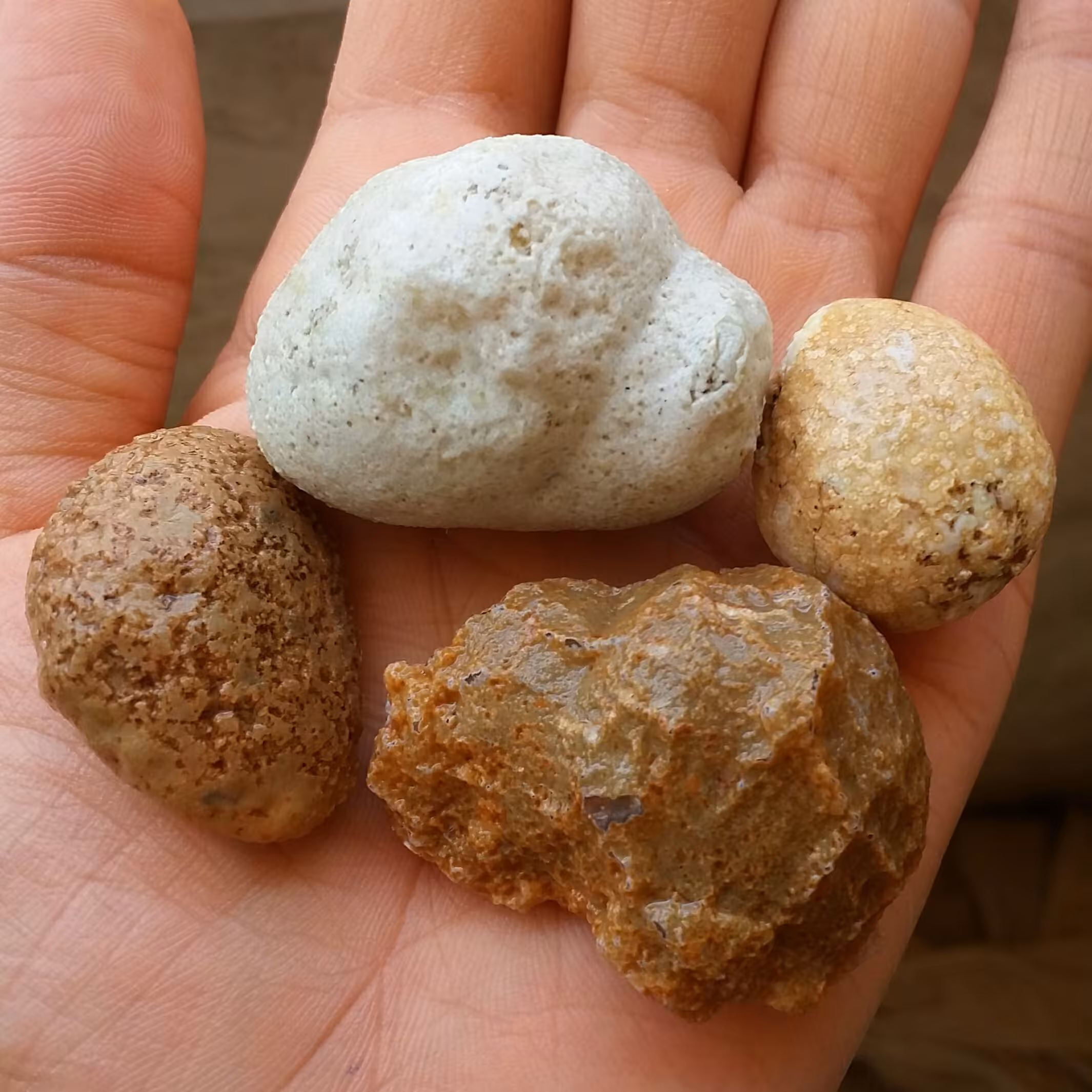 مجموعه 4 عددی سنگ راف خام عقیق توپی نقلی برش نخورده 100 در صد طبیعی سرشاار از خواص شااهکار خلقت
با قابلیت ساخت چند نگین