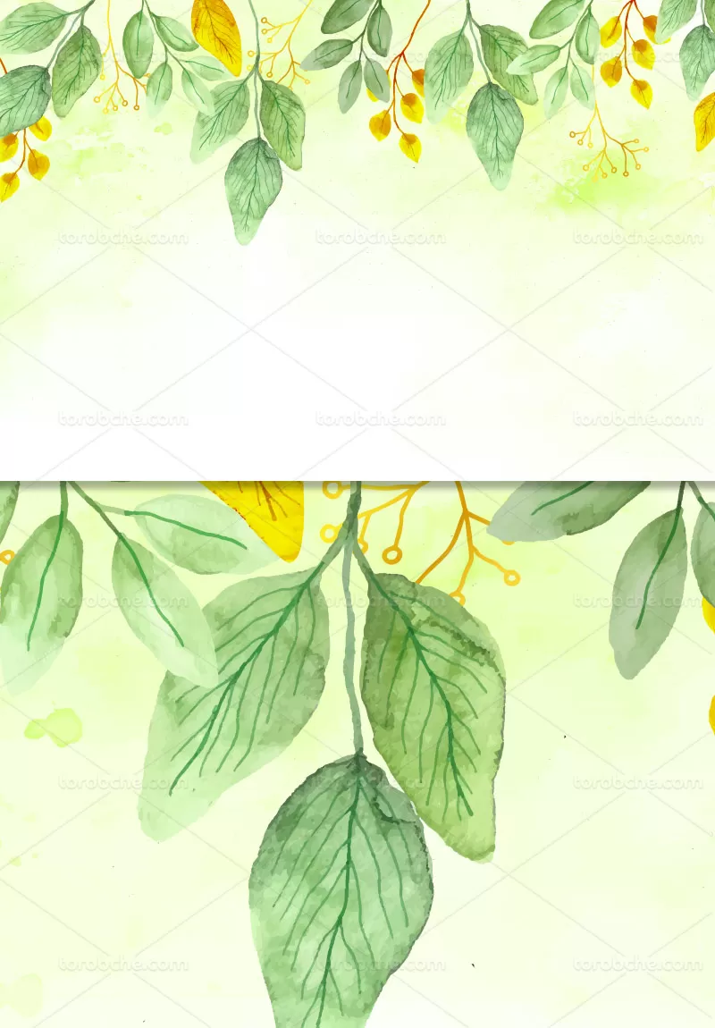 وکتور کادر و حاشیه برگ رنگی | گرافیک با طعم تربچه