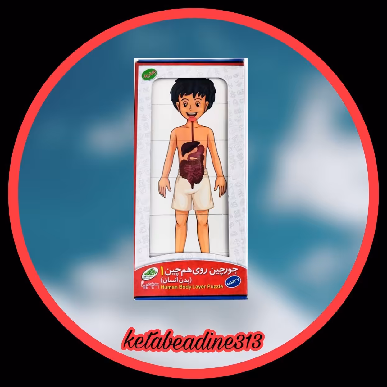  جورچین اعضای بدن