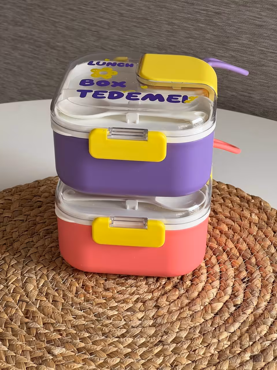 ظرف غذا و لانچ باکس داخل استیل TEDEMEI مناسب مدرسه کد 79