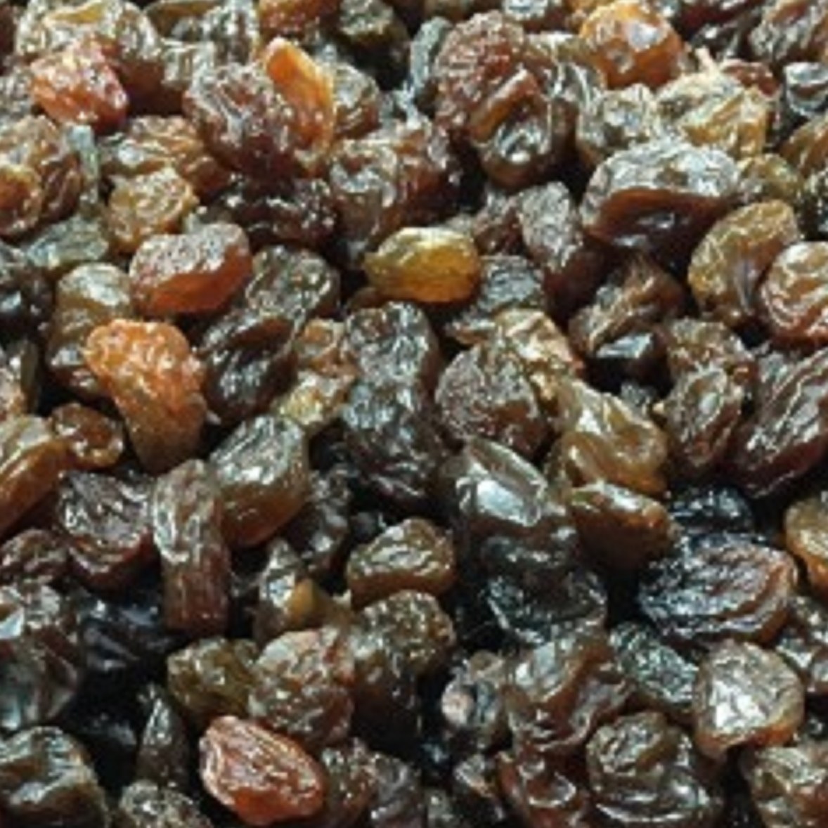 کشمش پلویی  قهوه ای 1000گرم